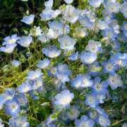 ヒメ日記 2026/09/09 08:21 投稿 雫(しずく) グランドオペラ福岡