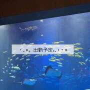 高梨 れおん 出勤予定 コンフォート