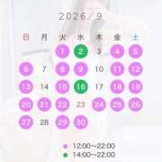 ヒメ日記 2026/09/04 02:19 投稿 りん 横浜痴女性感フェチ倶楽部