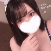 ヒメ日記 2026/09/20 11:23 投稿 いおり 恋するバニー