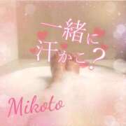 ヒメ日記 2026/08/20 15:54 投稿 みこと ふわふわコレクション