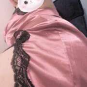 ヒメ日記 2026/09/12 19:38 投稿 八乙女 BBW横浜店
