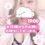 ヒメ日記 2026/09/15 15:44 投稿 らぶ 白いぽっちゃりさん