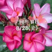 ヒメ日記 2026/08/22 09:26 投稿 亜紀 出会い系人妻ネットワーク 上野〜大塚編
