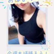 ヒメ日記 2026/10/05 07:02 投稿 亜紀 出会い系人妻ネットワーク 上野〜大塚編