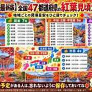 ヒメ日記 2026/10/15 12:50 投稿 ほたる GODZUMA（ゴッヅマ）