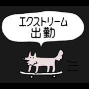 ヒメ日記 2026/08/29 10:14 投稿 かるあ I❤HIMEJI（アイラブ姫路）