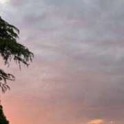 ヒメ日記 2026/09/12 10:38 投稿 永遠-towa- 品川エッセンス
