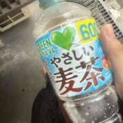 しおり しおり（clubさくら難波店） clubさくら難波店