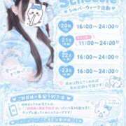 ヒメ日記 2026/09/19 02:50 投稿 にゃす コンカフェ×オナクラ @LOVE日本橋店