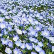 なみ 明日のお休みについて 上野デリヘル倶楽部