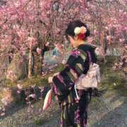 ヒメ日記 2026/10/19 10:55 投稿 ことり PRISM(都城)