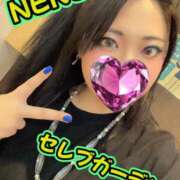 ヒメ日記 2026/09/05 15:07 投稿 新人ネネ Celeb Garden(セレブガーデン)