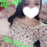 ヒメ日記 2026/09/12 13:57 投稿 新人ネネ Celeb Garden(セレブガーデン)
