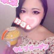 ヒメ日記 2026/09/12 15:57 投稿 新人ネネ Celeb Garden(セレブガーデン)