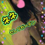 ヒメ日記 2026/09/14 10:07 投稿 新人ネネ Celeb Garden(セレブガーデン)