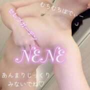 ヒメ日記 2026/09/23 14:47 投稿 新人ネネ Celeb Garden(セレブガーデン)