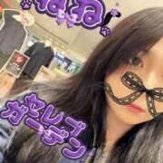 ヒメ日記 2026/10/10 15:07 投稿 新人ネネ Celeb Garden(セレブガーデン)