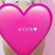 ヒメ日記 2026/09/02 20:23 投稿 あまね 高級エステ セラピスト