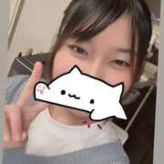 ヒメ日記 2026/08/31 10:03 投稿 カホ【ゆるふわ愛されバ二―】 バニーコレクション 中洲店