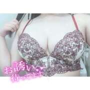ヒメ日記 2026/08/20 09:50 投稿 らな ダイスキ