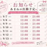 ヒメ日記 2026/09/06 21:10 投稿 あまね 奥様さくら日本橋店