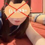 ゆの ^ᴗ.ᴗ^💤💕 カノジョ感　逆セーラー服しか勝たん　錦店