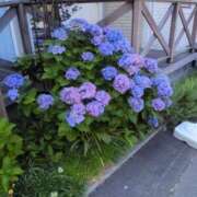 ヒメ日記 2026/08/18 23:56 投稿 ほしな 熟女家 京橋店