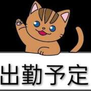 ヒメ日記 2026/09/03 15:49 投稿 みき 人妻熟女の秘密の関係　船橋店