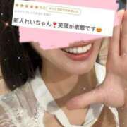ヒメ日記 2026/09/03 08:12 投稿 れい お姉京都