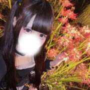 ヒメ日記 2026/10/03 13:25 投稿 あまい★可憐で小柄な純真美少女 Chloe五反田本店　S級素人清楚系デリヘル