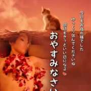 ヒメ日記 2026/10/15 00:02 投稿 おりん 木更津人妻花壇