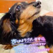 ヒメ日記 2026/10/14 12:11 投稿 サク ギャルズネットワーク神戸