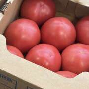 ヒメ日記 2026/09/23 08:45 投稿 かれん 新橋フェアリーズ