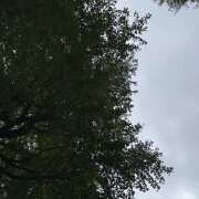ヒメ日記 2026/10/14 13:20 投稿 かれん 新橋フェアリーズ