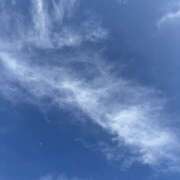 ヒメ日記 2026/10/19 13:19 投稿 かれん 新橋フェアリーズ