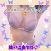 ヒメ日記 2026/08/31 21:07 投稿 ともか モアグループ大宮人妻花壇