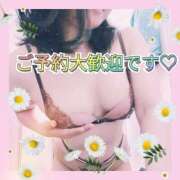 ヒメ日記 2026/09/21 15:33 投稿 ともか モアグループ大宮人妻花壇