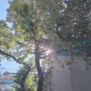 ヒメ日記 2026/10/11 18:08 投稿 ともか モアグループ春日部人妻城