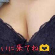 ヒメ日記 2026/09/17 14:32 投稿 近藤（こんどう） 丸妻 錦糸町店