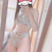 ヒメ日記 2026/08/19 23:59 投稿 美神　ゆきな OLピンクコレクション