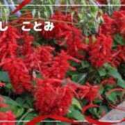 ヒメ日記 2026/08/24 07:53 投稿 神林言実 TOKYO五十路マダムin池袋（カサブランカグループ）