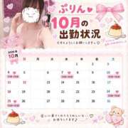 ヒメ日記 2026/09/29 19:26 投稿 ぷりん 道玄坂クリスタル