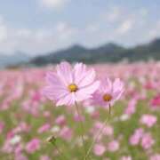 ヒメ日記 2026/08/30 12:51 投稿 みなこ【新人】 大宮至極のエステ～大人のアロマ～