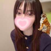 美南亜依 ネコ科LOVE ローテンブルク