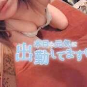 ヒメ日記 2026/10/09 09:18 投稿 せしる 福岡ちゃんこ大牟田店