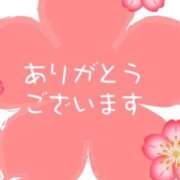 平沢とうか ありがとうございました。 五十路マダム 岐阜店