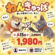ヒメ日記 2026/09/09 18:42 投稿 みお 2980円（にゃんきゅっぱ）