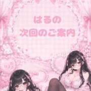 ヒメ日記 2026/09/15 10:19 投稿 はる 宮崎ちゃんこ中央通店