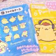 ヒメ日記 2026/09/15 15:39 投稿 はる 宮崎ちゃんこ中央通店